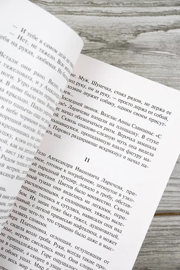 Книга Хозяйка гостиницы (И. Грекова) — 10
