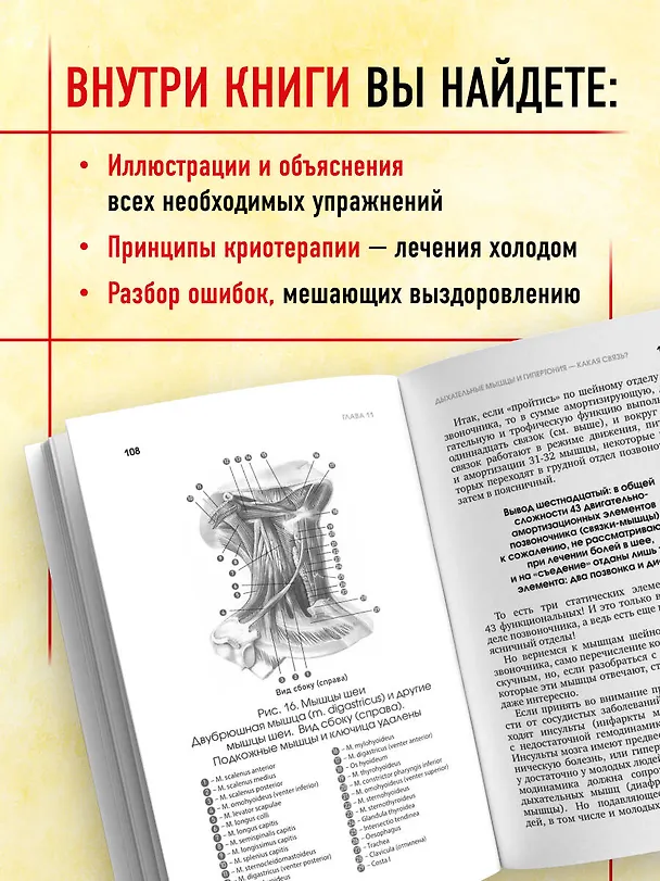 Книга Протрузия, грыжа, спондилоартроз - оперировать нельзя лечить (Сергей Бубновский) — 7