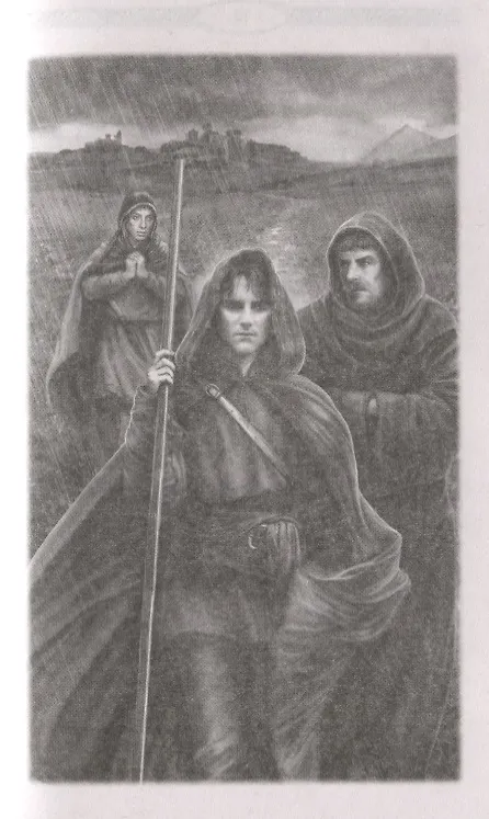 Книга Рыцарь света. Далекий свет (Симона Вилар) — 3