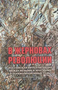 В жерновах революции: Российская интеллигенция между белыми и красными в пореволюционные годы: Сборник документов и материалов