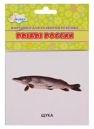 Карточки для развития ребенка "Рыбы России" — 2795656 — 1