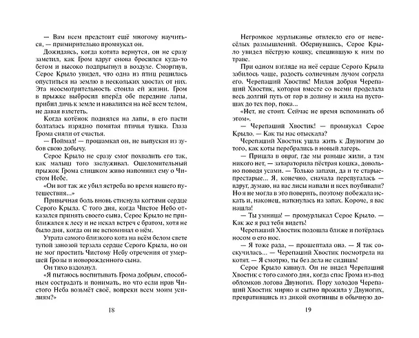 Книга Юность Грома (Эрин Хантер) — 9