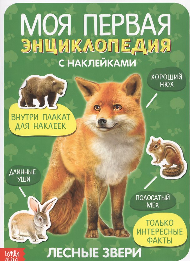 Книга Моя первая энциклопедия с наклейками. Лесные звери () — 1