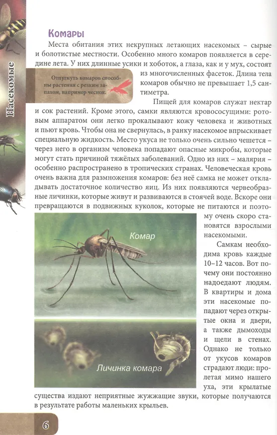 Книга ЭНЦИКЛОПЕДИЯ. В МИРЕ ЗНАНИЙ. УДИВИТЕЛЬНЫЙ МИР НАСЕКОМЫХ () — 3