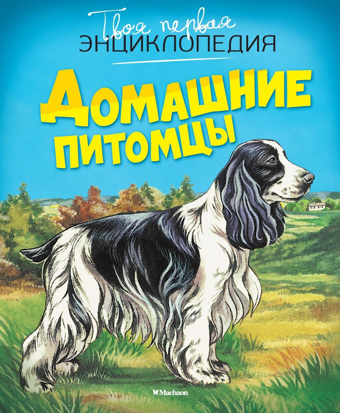 

Домашние питомцы
