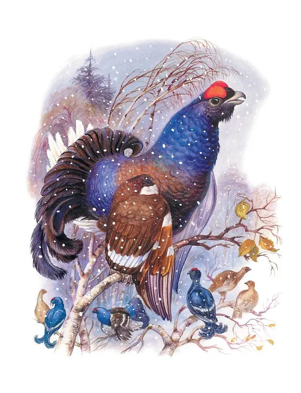 Книга Сказки о зверятах (Эдуард Шим) — 9