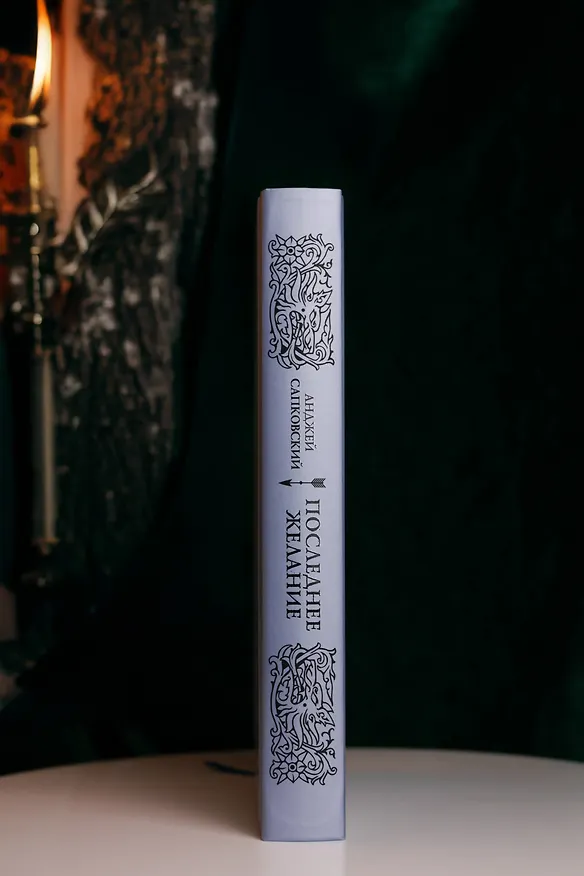 Книга Последнее желание (Анджей Сапковский) — 17