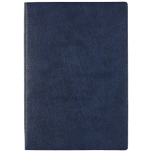 Ежедневник недатированный "Шеврет экстра", А5, 120 листов, синий