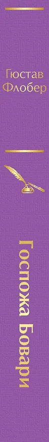 Книга Госпожа Бовари (Гюстав Флобер) — 4