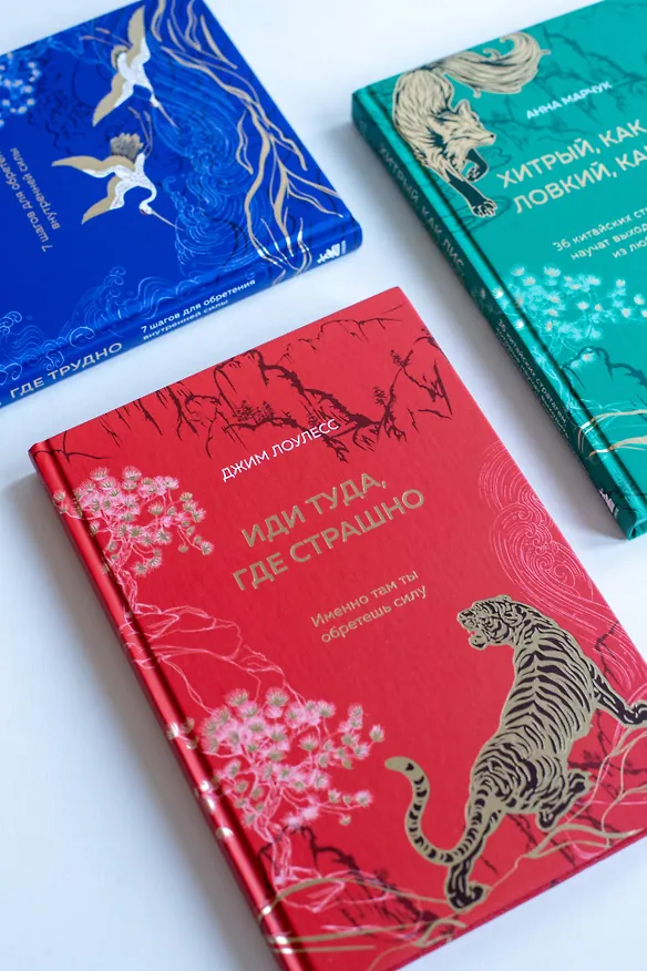 Книга Иди туда, где страшно. Именно там ты обретешь силу (Джим Лоулесс) — 12