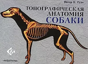 Топографическая анатомия собаки — 2172577 — 1