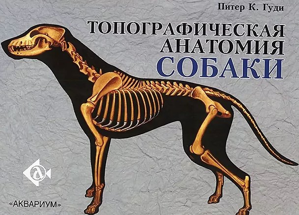 Книга Топографическая анатомия собаки (Питер Гуди) — 1