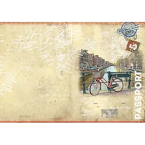 Феникс Презент Обложка для паспорта ПВХ 13,3*19,1см 32401