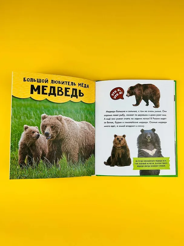 Книга Животные () — 12