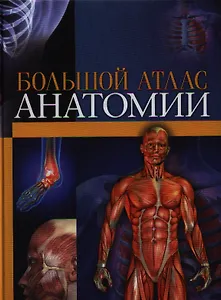 Большой атлас анатомии