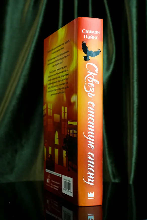 Книга Сквозь огненную стену (Саймон Пайнс) — 10