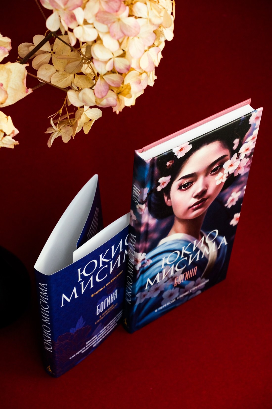 Изображение бумажной книги