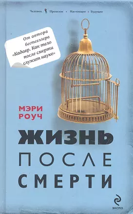 Жизнь после смерти — 2291465 — 1