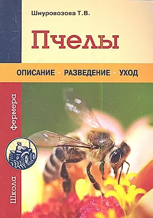 Пчелы — 2349543 — 1