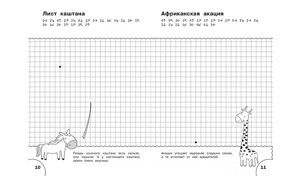 Книга ПДШ  Графические диктанты. Растения и грибы. Развивающие задания. (Вениамин Шехтман) — 5
