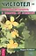 Чистотел - русский женьшень в помощь от болезней — 2682341 — 1