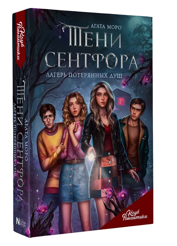 Книга Тени Сентфора. Лагерь потерянных душ (Агата Моро) — 6