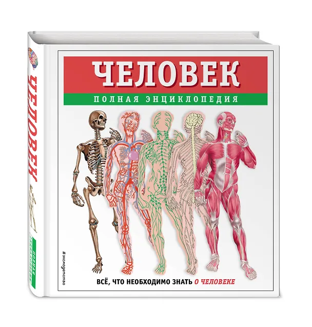 Книга Человек. Полная энциклопедия (Юлия Школьник) — 6