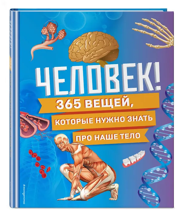 Книга Человек! 365 вещей, которые нужно знать про наше тело () — 6