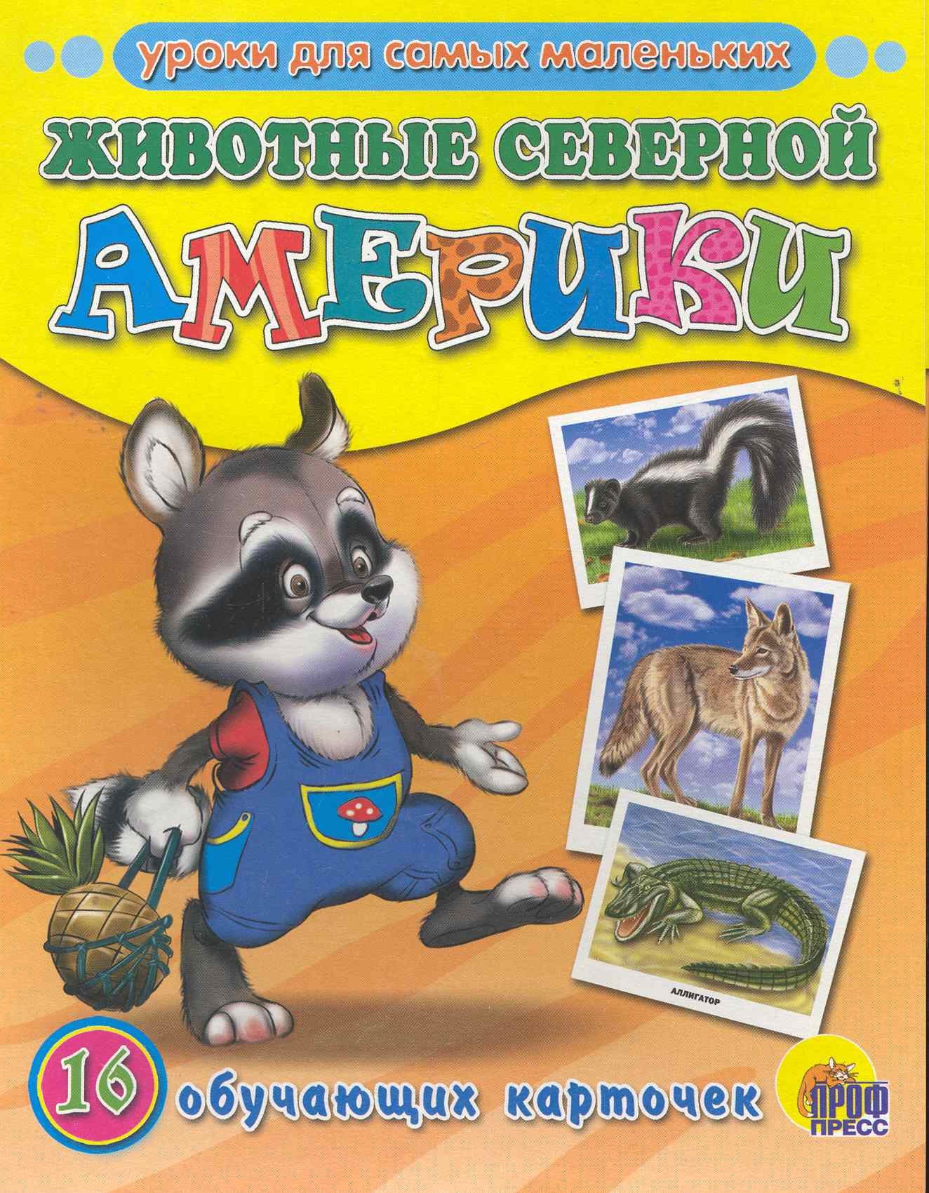 

Животные Северной Америки