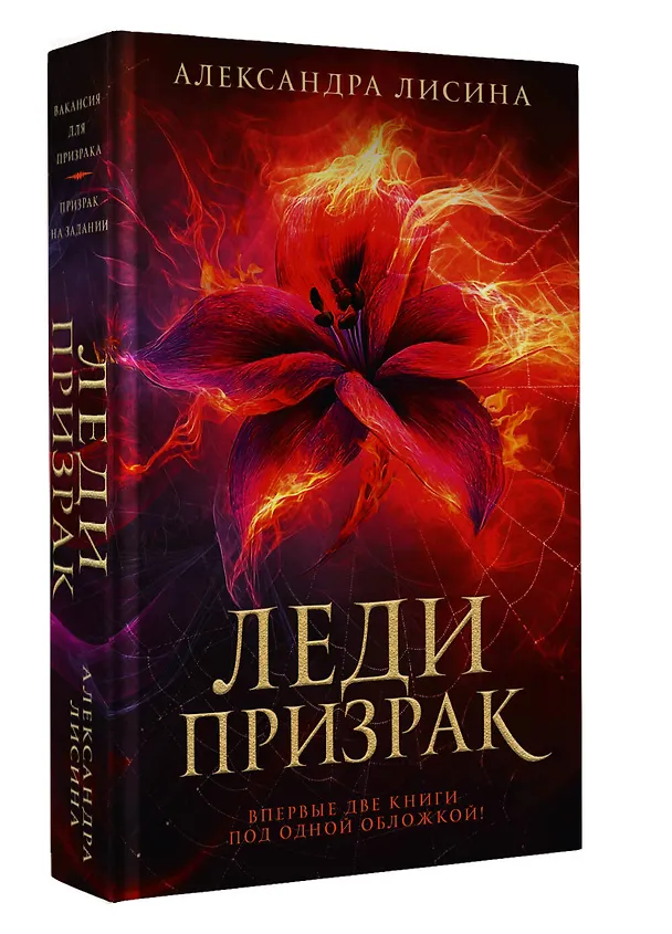 Книга Леди-призрак: Вакансия для призрака, Призрак на задании (Александра Лисина) — 5