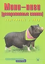 Мини-пиги (декоративные свинки) Содержание и уход — 2156011 — 1