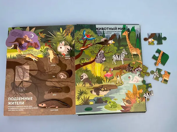 Книга Удивительные животные () — 16