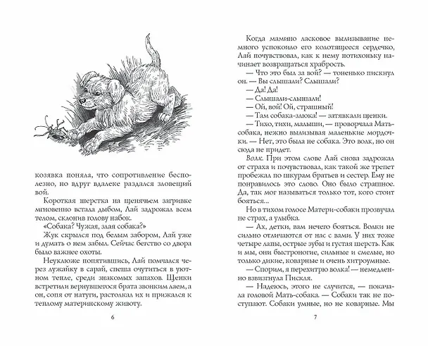 Книга Тайный враг (Эрин Хантер) — 3