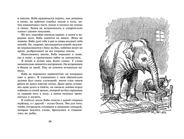 Книга Мои звери (Владимир Дуров) — 12