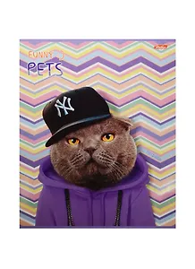 Тетрадь 48л лин. "Смешные любимцы" офсет, ассорти, Hatber