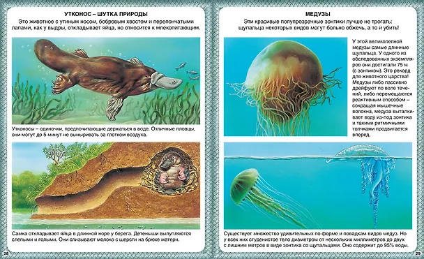 Книга Животные-рекордсмены (Эмили Бомон) — 4