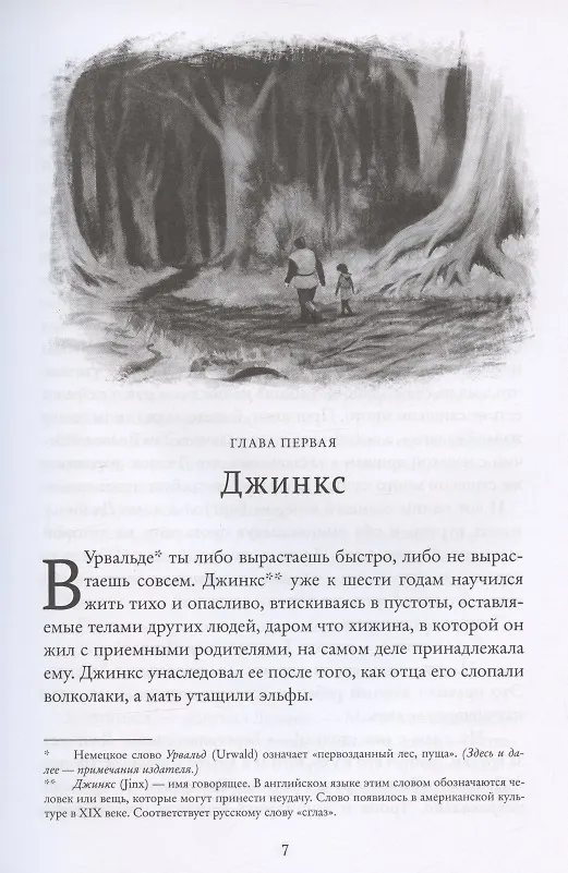 Книга Джинкс. Книга первая (Сэйдж Блэквуд) — 4
