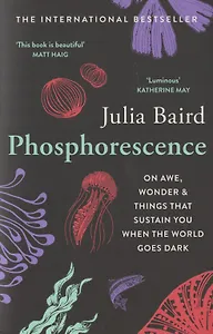 Phosphorescence: On Awe, Wonder & Things That Sustain You When the World Goes Dark