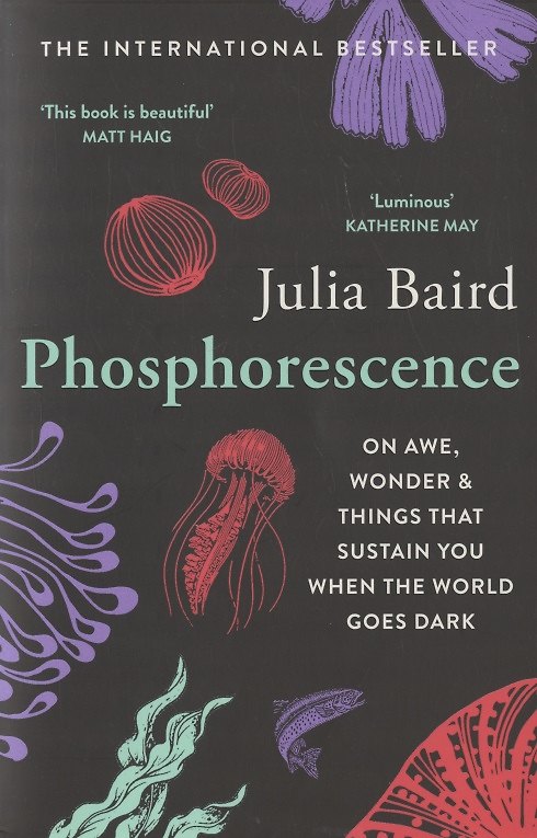 Книга Phosphorescence: On Awe, Wonder & Things That Sustain You When the World Goes Dark (Джулия Вудлендс Бэрд) — 1