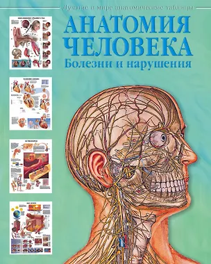 Книга Атлас анатомии человека. Болезни и нарушения (Евгения Махиянова)