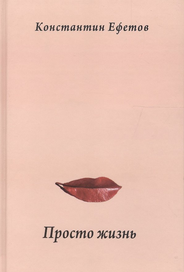 Книга Просто жизнь (Константин Ефетов) — 1