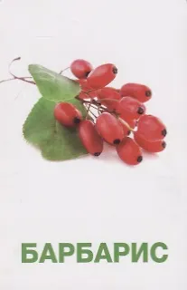 Книга Фрукты и ягоды. Развивающие карточки () — 5