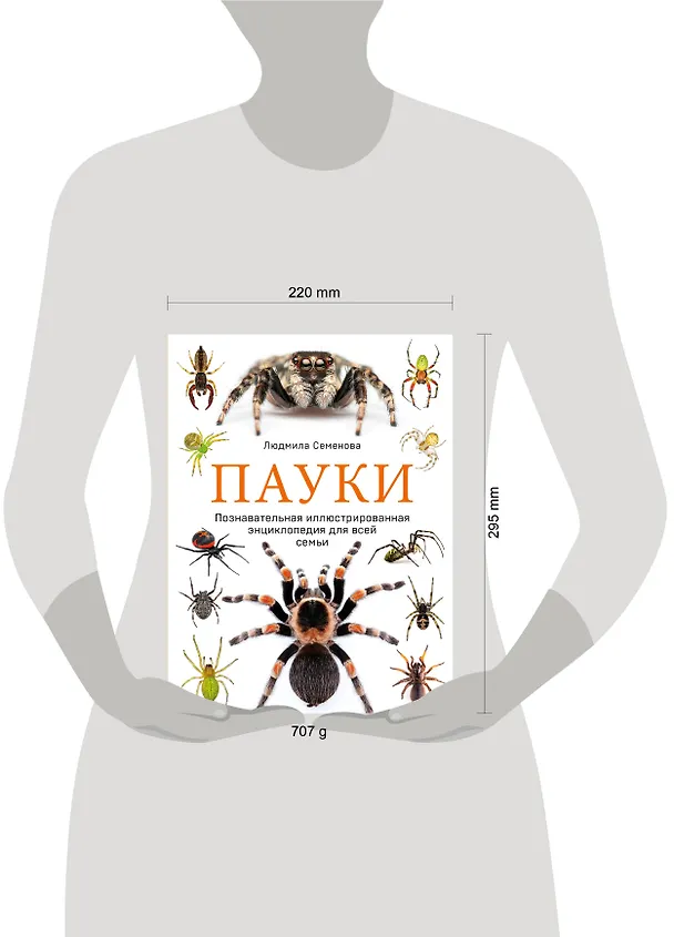 Книга Пауки: познавательная иллюстрированная энциклопедия для всей семьи (Людмила Семенова) — 7