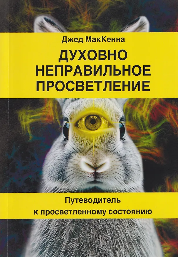 Книга Духовно неправильное просветление. Путеводитель к просветленному состоянию (Джед МакКенна) — 1