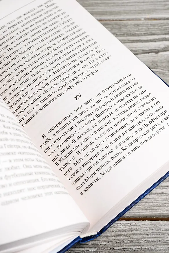Книга Глазами клоуна. Бильярд в половине десятого (Генрих Белль) — 13