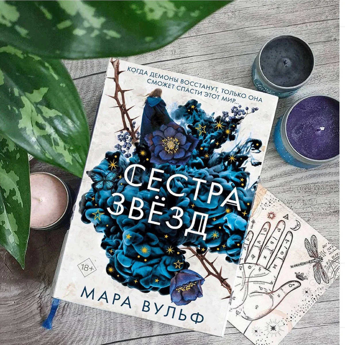 Сёстры-ведьмы. Сестра звёзд (#1) (Мара Вульф) - купить книгу с доставкой в  интернет-магазине «Читай-город». ISBN: 978-5-04-115757-9