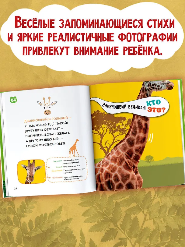 Книга Животные () — 5