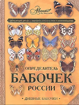 Определитель бабочек России — 2331610 — 1