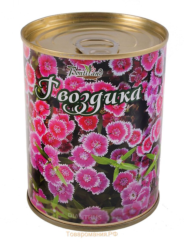 Цветок в банке "Гвоздика" (410473) 2371565 — 1