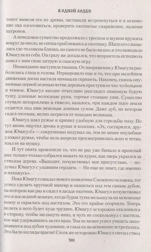 Книга В одной лодке (Амир Аминев) — 4